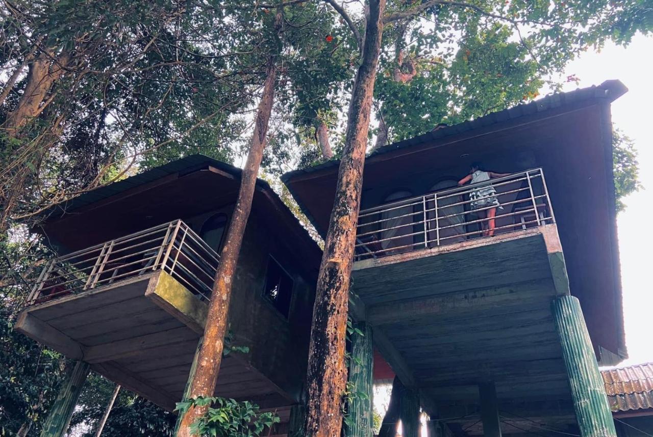 Khao Sok Jungle Huts Resort Khao Sok National Park Exterior photo